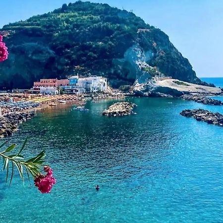 Mare Nostrum - Beachfront House - Sant'Angelo Ischia Bagian luar foto