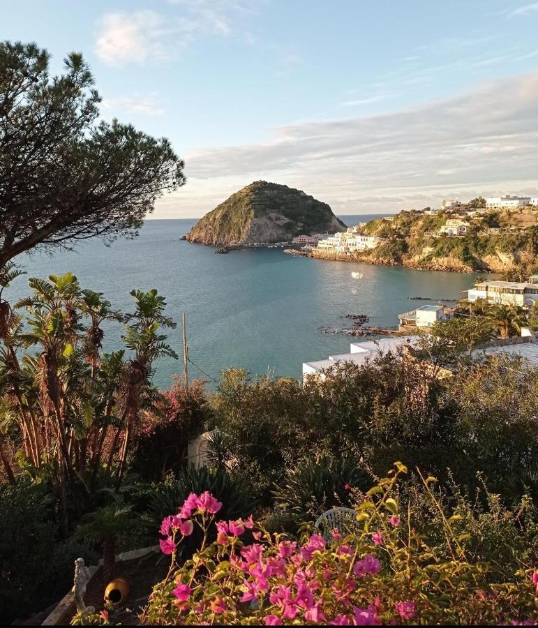 Mare Nostrum - Beachfront House - Sant'Angelo Ischia Bagian luar foto