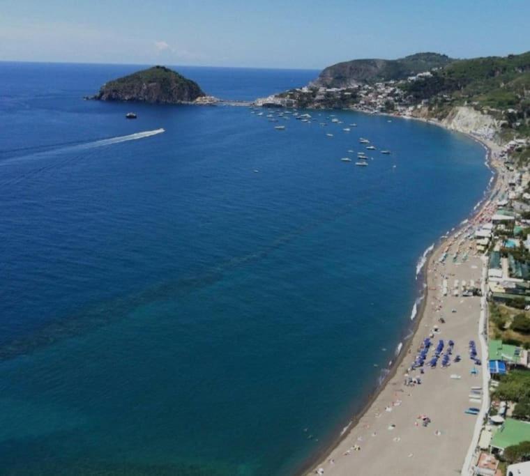 Mare Nostrum - Beachfront House - Sant'Angelo Ischia Bagian luar foto