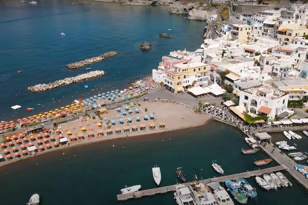 Mare Nostrum - Beachfront House - Sant'Angelo Ischia Bagian luar foto