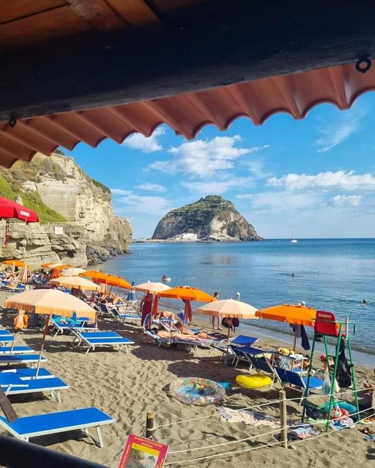 Mare Nostrum - Beachfront House - Sant'Angelo Ischia Bagian luar foto
